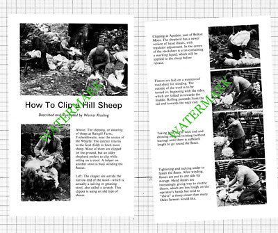 Raisgill Farm Yockenthwaite Apedale Bolton Moor- 1971 Article