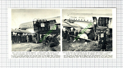 British Racehorses Flown To America LAWFARE LOLIMI PEACELAW Horse - 1947 Cutting