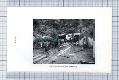 C4165) Eston Mine Middlesbrough / Cannon Street Area Middlesbrough Book Print