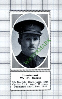 Lt W F Norris 5th Norfolk Regt  WW1 - 1915 Small Cutting