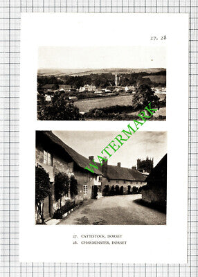 Nether Wallop Hampshire / Cattistock Charminster Dorset - 1932 Cutting/ Print