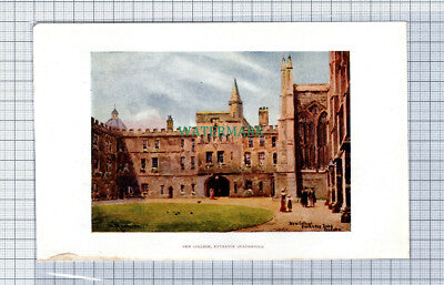 C4096) OXFORD New College -  SMALL Double Sided c.1900 Book Print