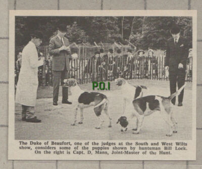 C757) South & West Wilts Hunt Show Bill Lock Capt D Mann - 1971 Cutting
