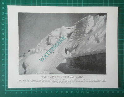 C845) Italian Fort On Mount Adamello - c.1918 Book Print