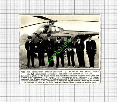 Royal Navy No 848 Helicopter Squadron Suthers Breese Luff Hawkes - 1952 Cutting