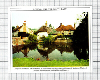 C8042) Singleton West Sussex   - 1980s Cutting