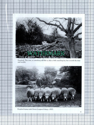 C4310) Sampford Brett / White Horse Stogumber / Doniford - SMALL Book Print