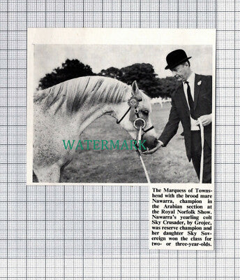 C5273) Marquess Of Townshend With Horse Nawarra - 1971 Cutting