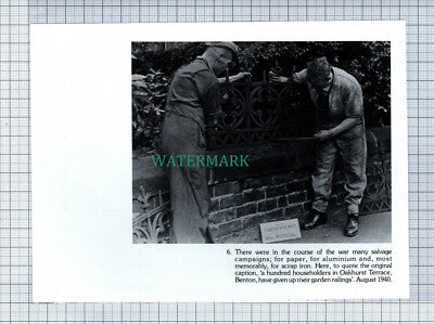 C4730) Hodgkin Park Newcastle / Oakhurst Terrace Benton Railings - Cutting