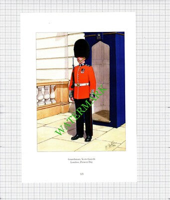 Guardsman Scots Guards London -  c.1990's Print
