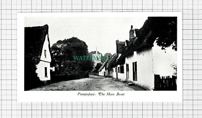C5887) Pampisford Main Street - c.1912 Cutting