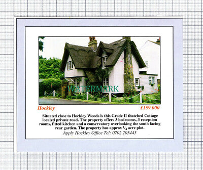 C5946) Hockley Woods Essex House Sale Advert - 1994 Small Cutting