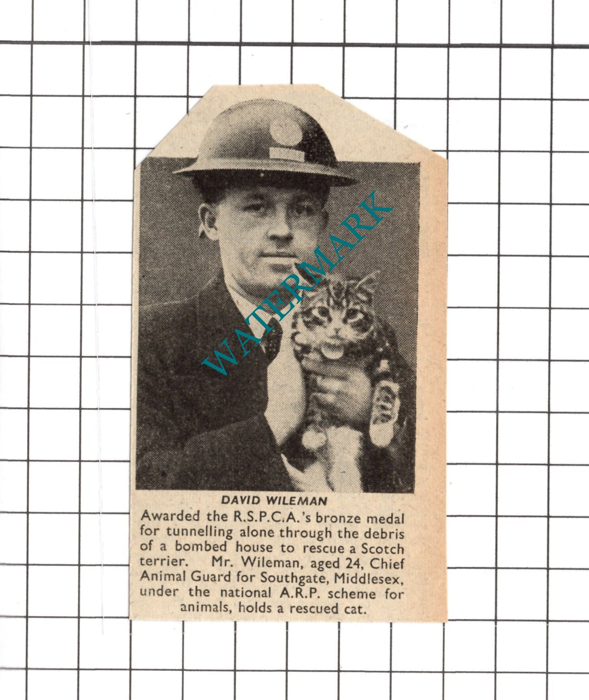 David Wileman Southgate Middlesex World War Two WW2  - 1941 SMALL Clipping