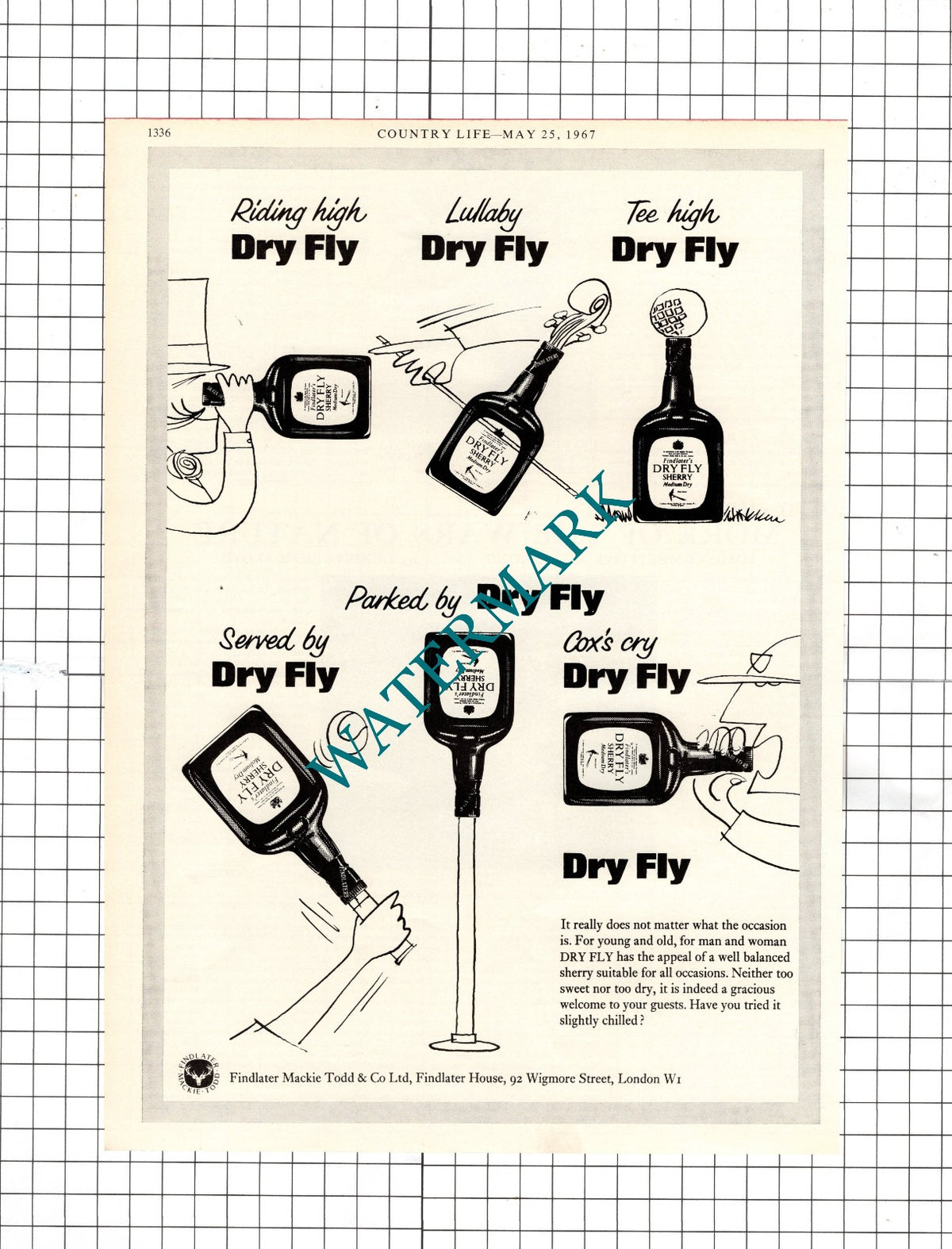 Findlater Mackie Todd & Co Ltd  London Dry Fly Sherry Advert - 1967