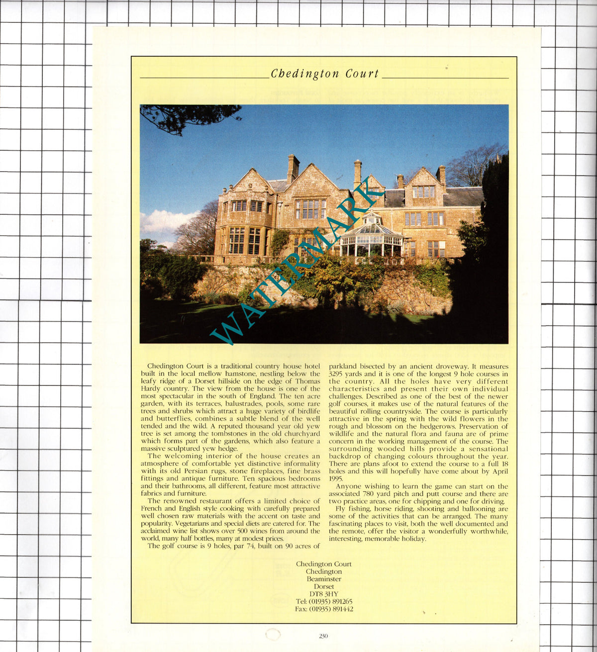 Chedington Court Chedington Beaminster Dorset Advert - 1995 Cutting