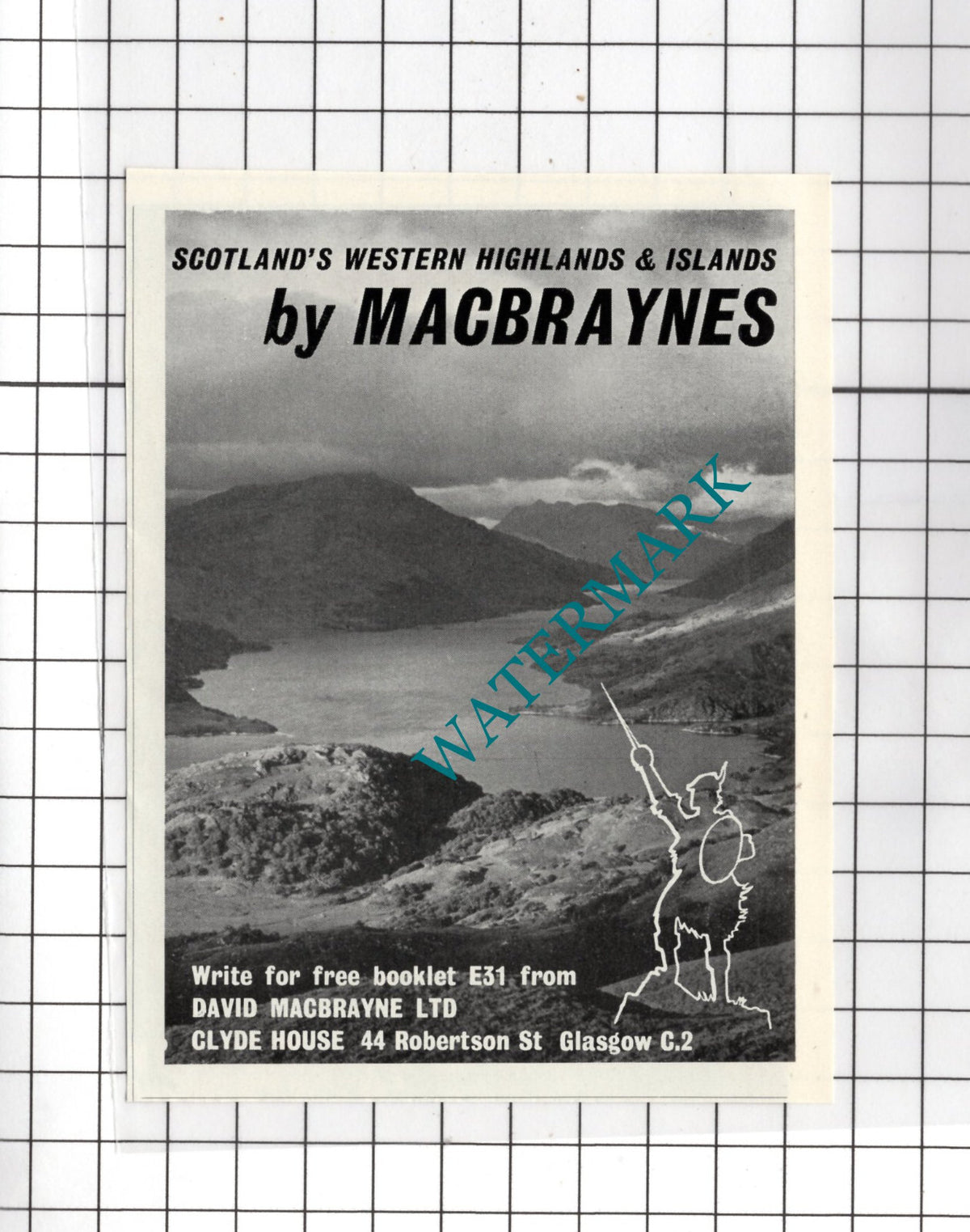 David Macbrayne Ltd Glasgow Advert Macbraynes  - 1956 SMALL Clipping