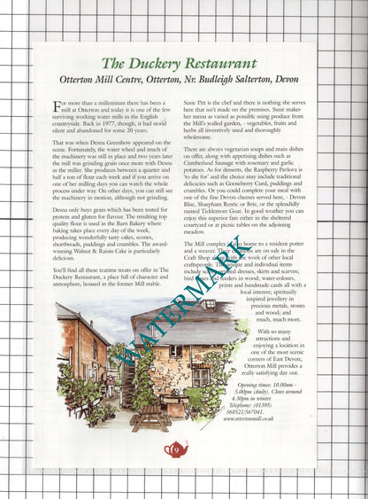 Primrose Cottage Lustleigh Devon Duckery Otterton Desna Greenhow - c.2001 Advert