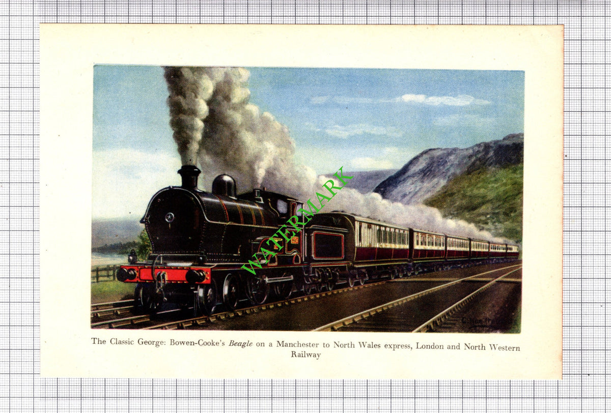 Beagle Railway Engine LNWR Bowen-Cooke - c.1949 Print