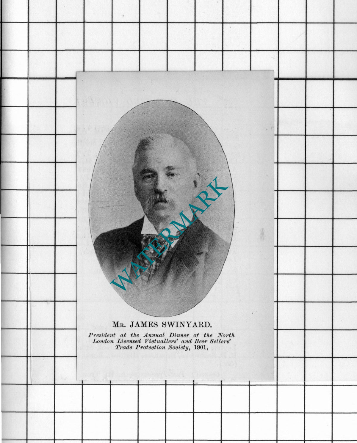 Mr James Swinyard - 1902 Small Cutting