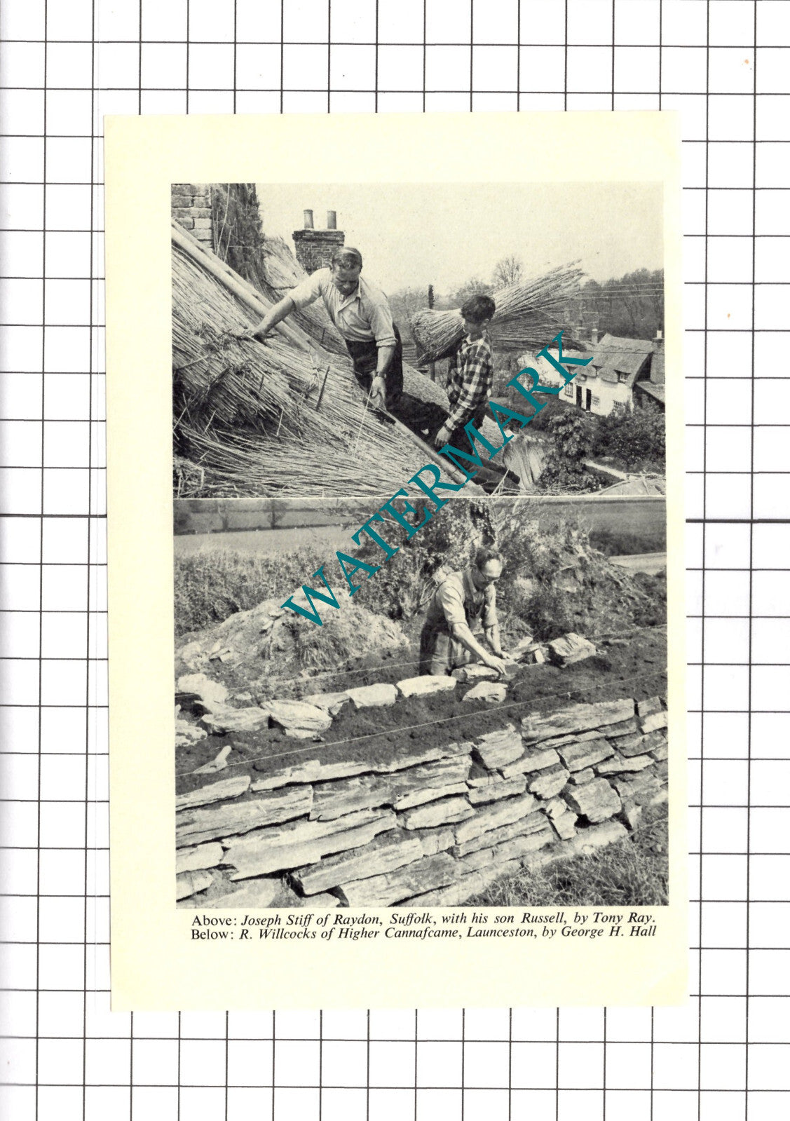 Joseph Stiff Russell Raydon Suffolk Higher Cannafcame - 1969 Clipping / Print