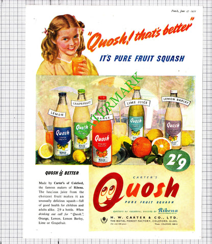 BOAC Airline / Quosh H W Carter & Co Coleford Advert - 1951 Cutting