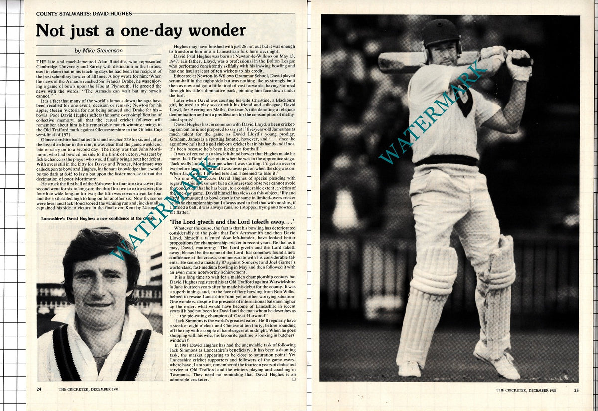 David Hughes Cricketer Cricket - 1981 Article