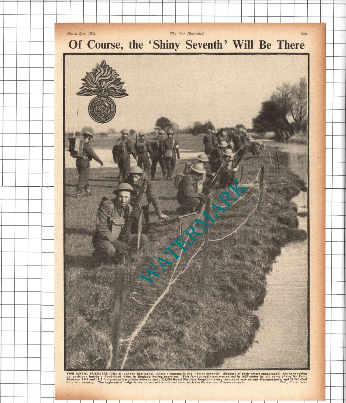 The Royal Fusiliers Shiny Seventh World War Two - 1941 Cutting / Print