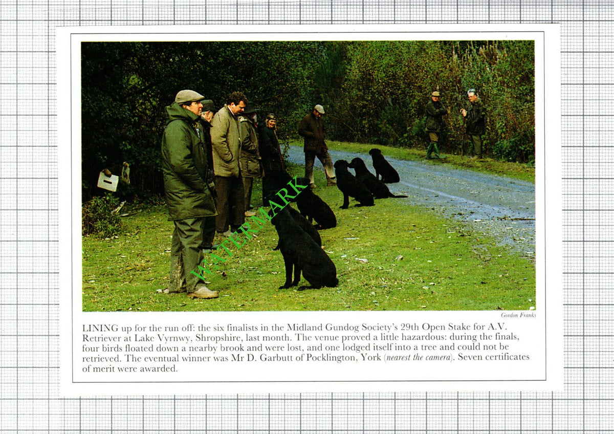 Midland Gundog Society Mr D Garbutt Pocklington York - 1991 Cutting