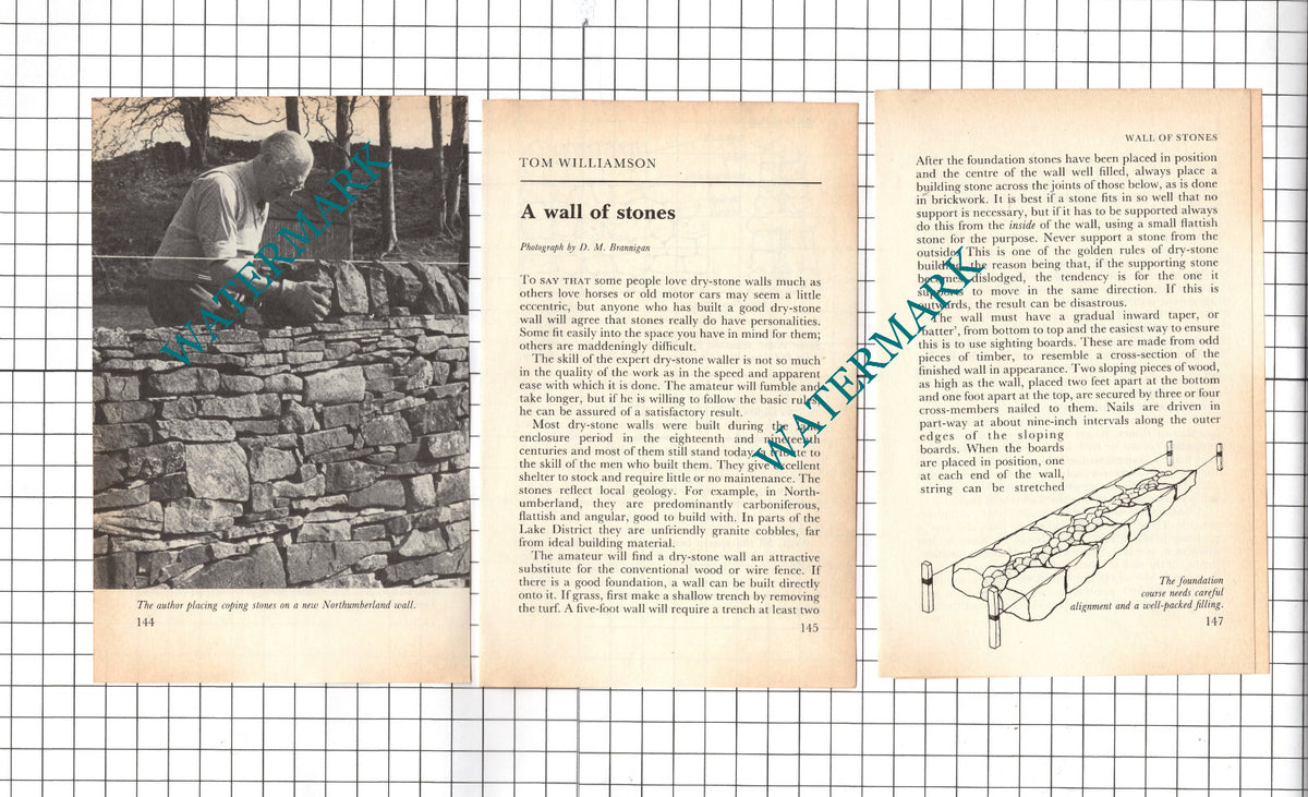 Tom Williamson Dry Stone Walling - 1983 Small Article