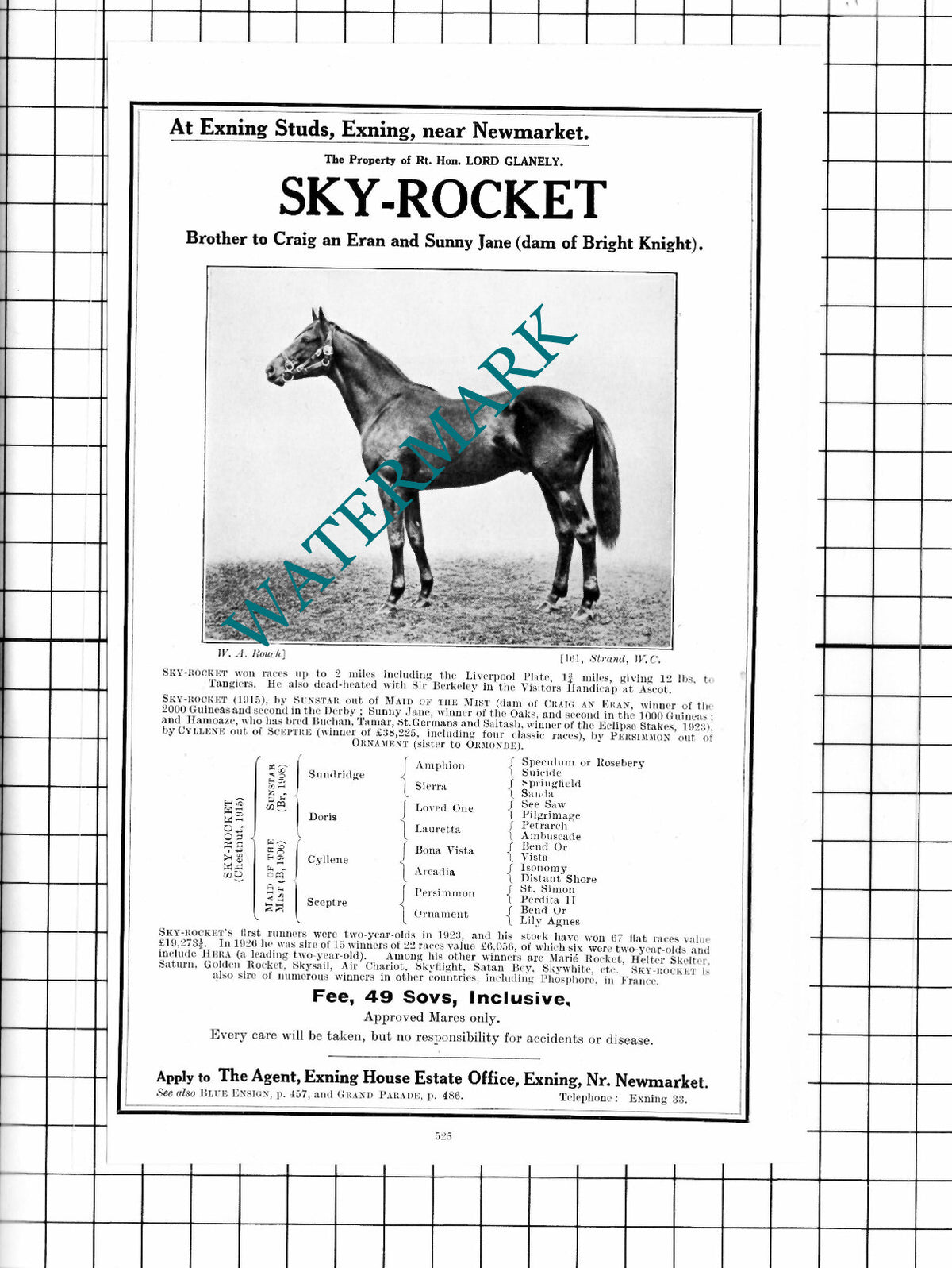 Lord Glanely SKY-ROCKET Exning Cheveley Park Newmarket SOMME KISS - 1927 Advert