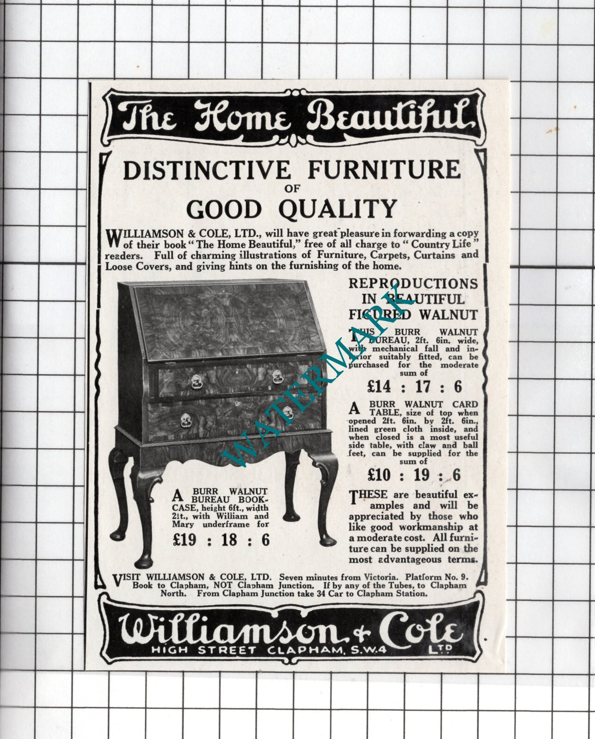 Williamson & Cole Ltd Clapham London Small Advert -  1927 Clipping