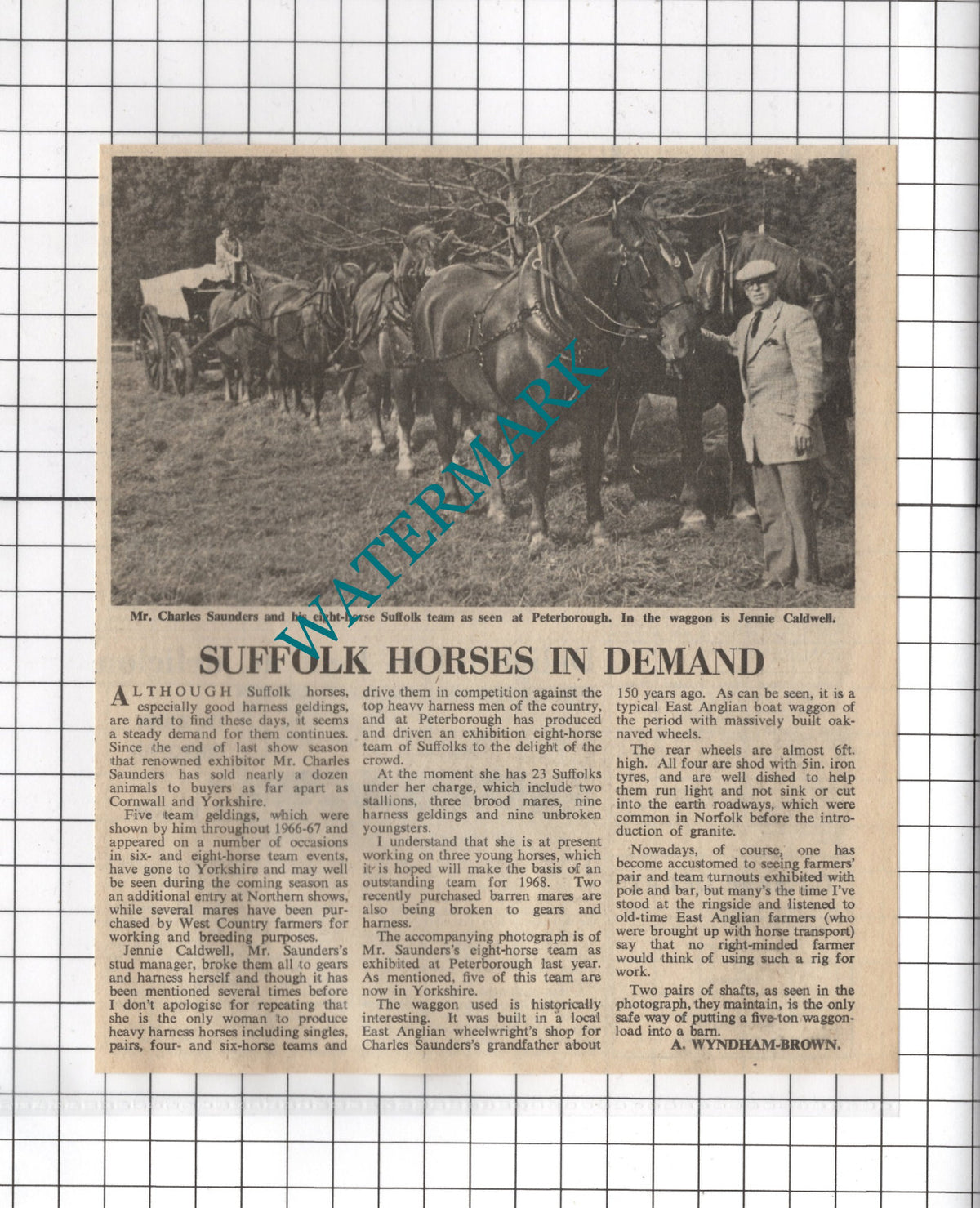 Mr Charles Saunders Suffolk Horses Jennie Caldwell - 1968 Cutting