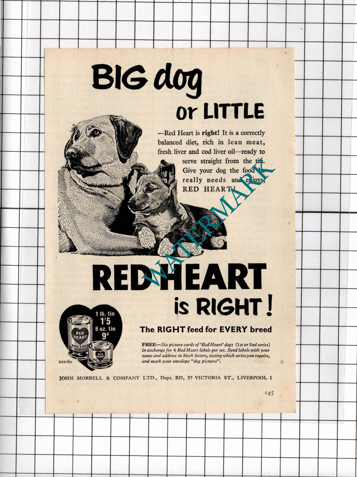 Red Heart Dog Food John Morrell & Co Ltd Liverpool ADVERT - 1956 Small Clipping
