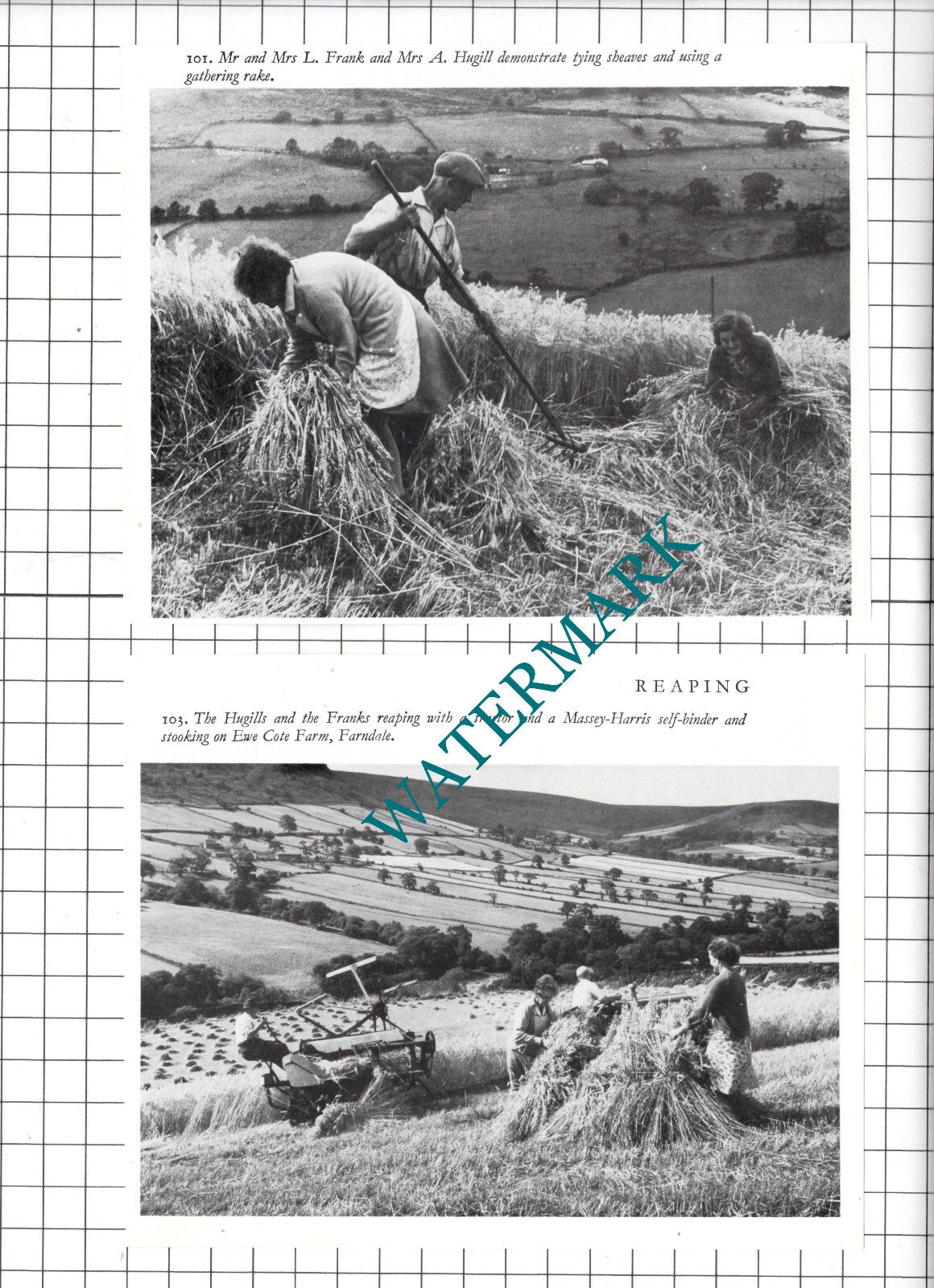 Mr & Mrs L Frank  Mrs A Hugill Ewe Cote Farm Farndale Yorkshire -2-Part Clipping