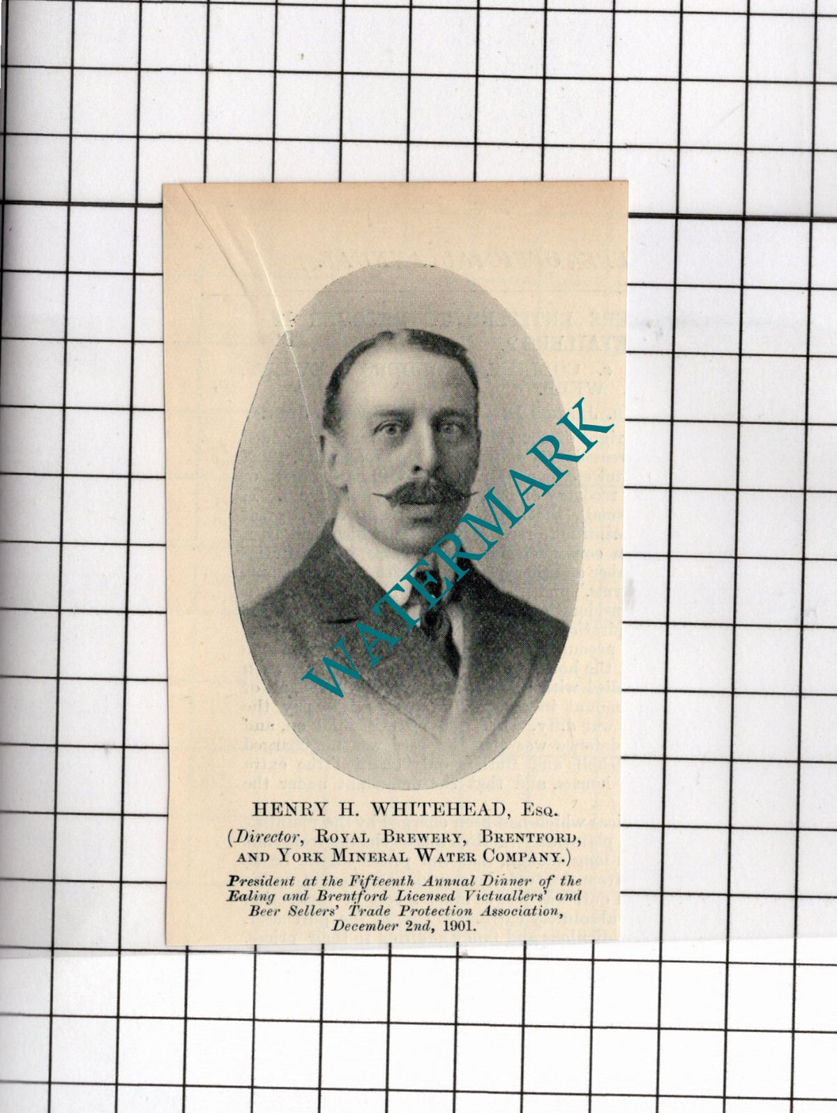 Henry H Whitehead Royal Brewery Brentford York Mineral Water -1902 SMALL Cutting
