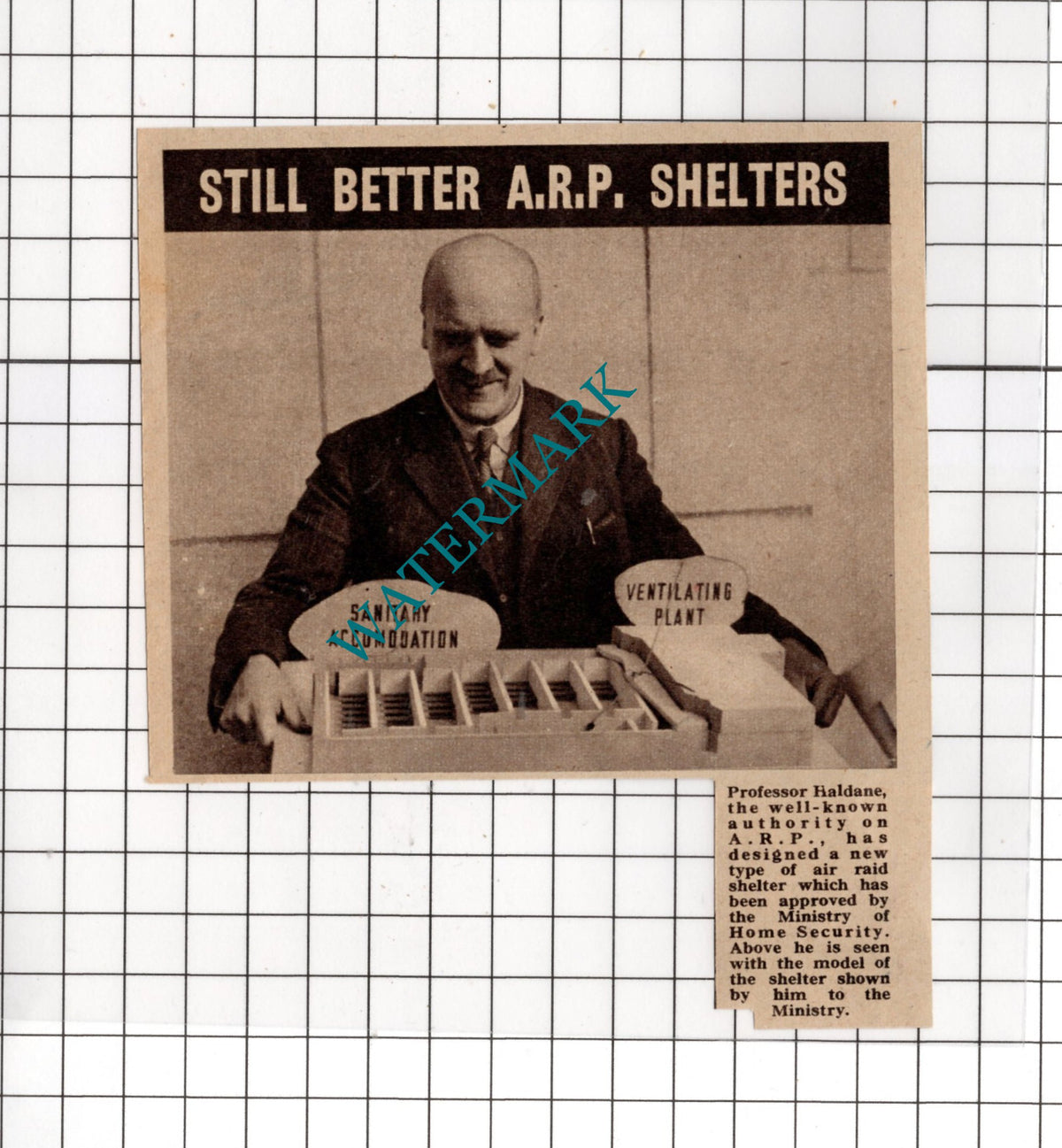 Professor Haldane ARP Shelters World War Two - 1940 Small Cutting