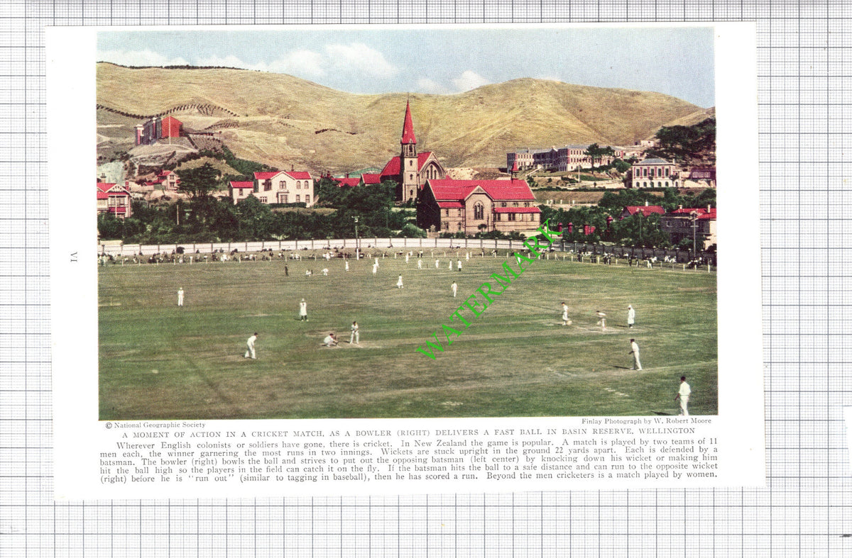 Wellington New Zealand Cricket - c.1936 Cutting / Print