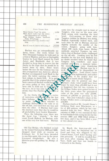BUCHAN Race Horse Lord Astor  - 1927 Article