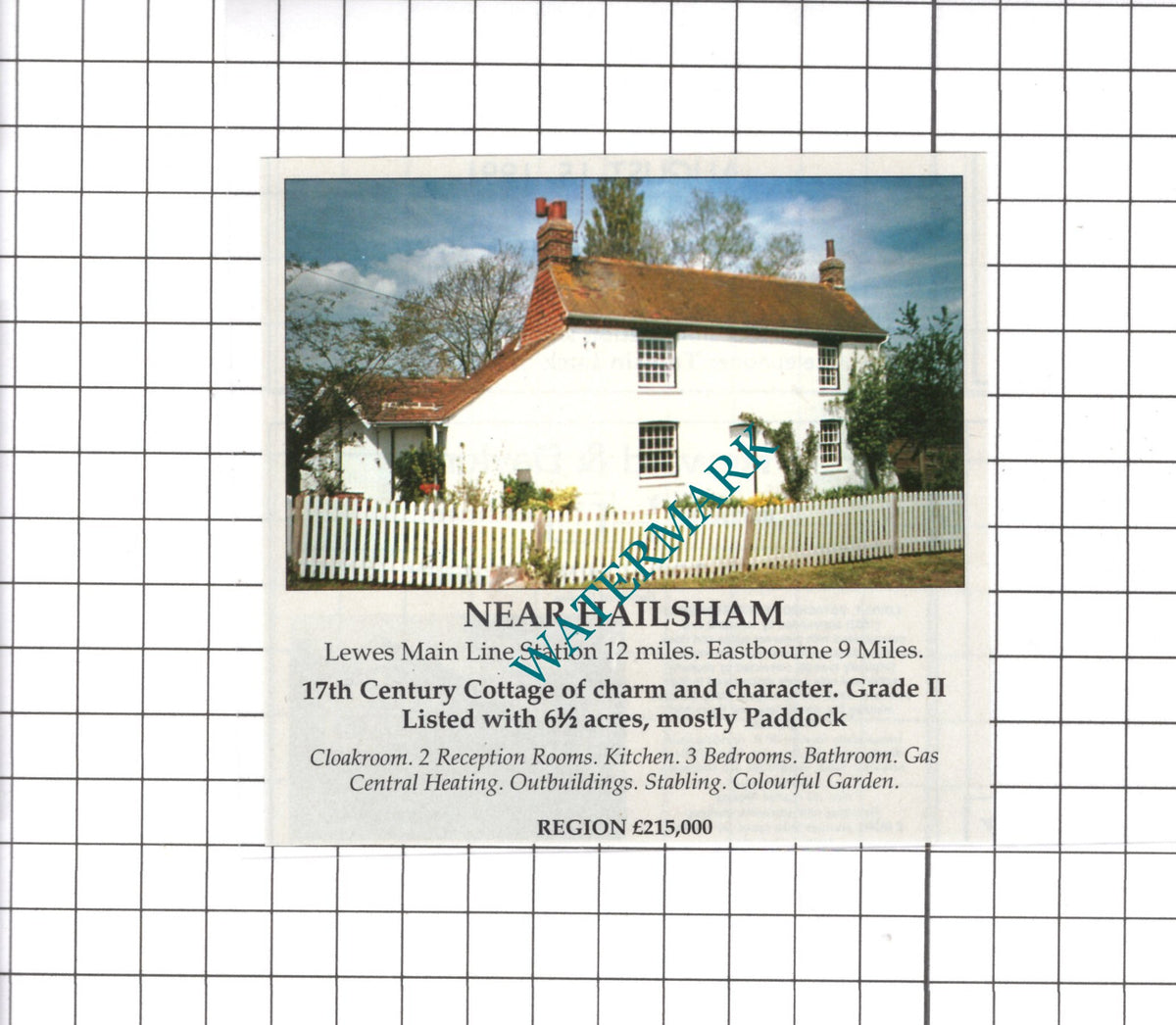 Hailsham Sussex House Sale Advert - 1991 Clipping / Print