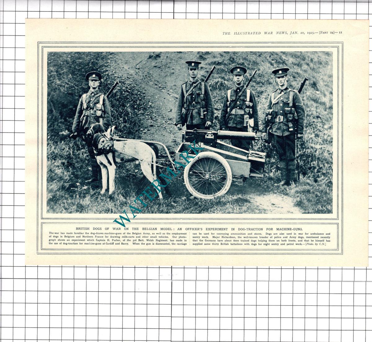 Capt H Furber 3rd Batt Welsh Regiment Dog Traction Belgium WW1 - 1915 Book Print