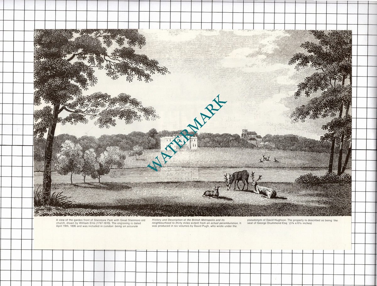 Stanmore Park Middlesex  - 1980s Clipping / Print