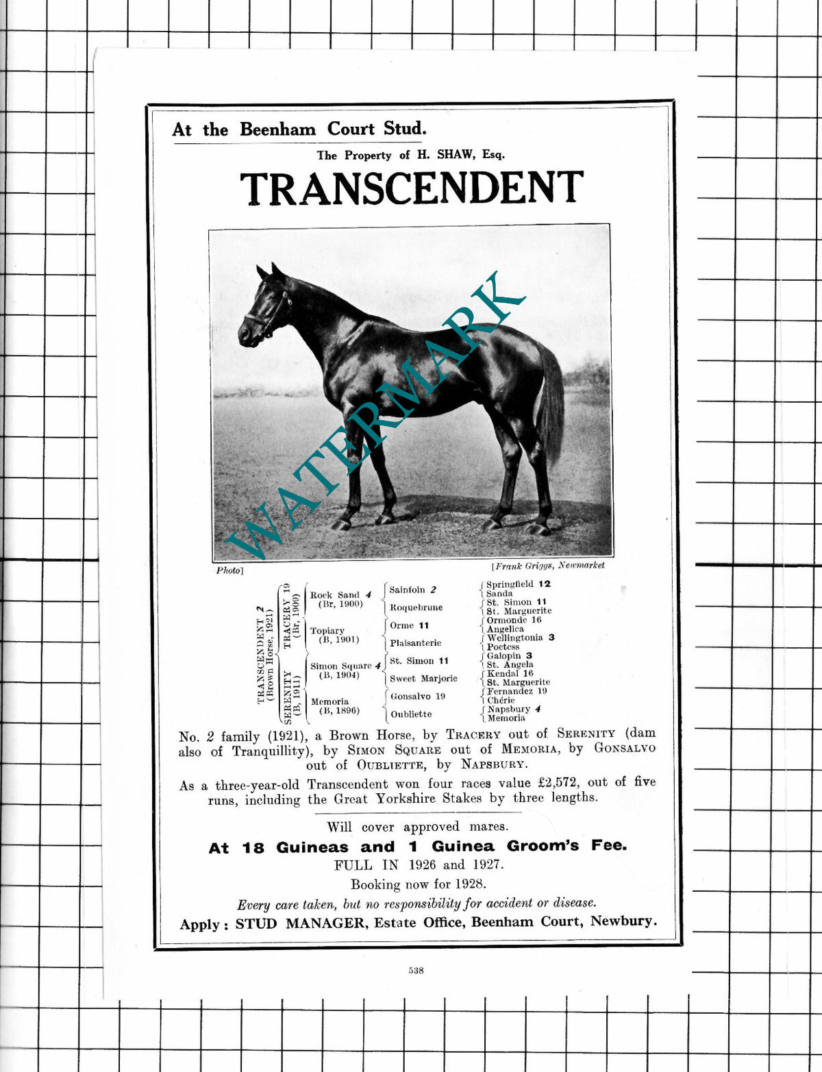 H Shaw Beenham Court Stud Newbury TRANSCENDENT Horse Racehorse - 1927 Advert