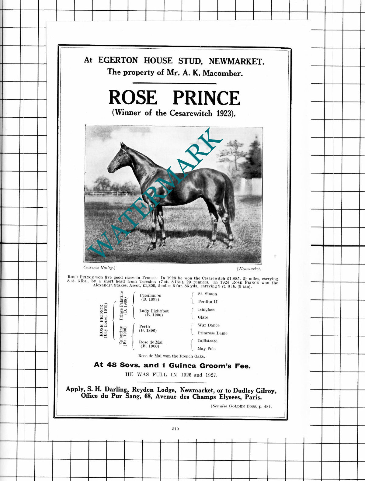 Macomber Egerton House Stud Newmarket ROSE PRINCE Horse Racehorse - 1927 Advert