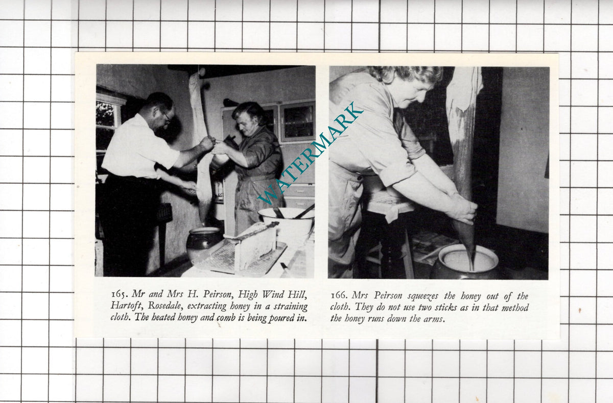 Mr & Mrs H Peirson High Wind Hill Hartoft Rosedale Yorkshire  - Clipping
