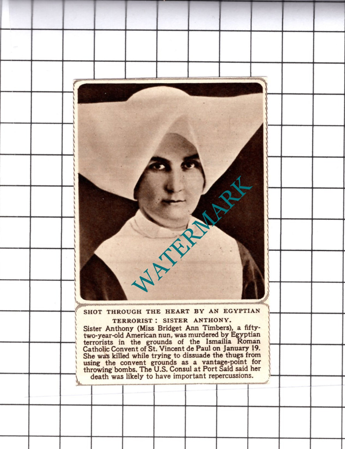 Sister Anthony Bridget Ann Timbers Ismailia Convent - 1952 Small Cutting