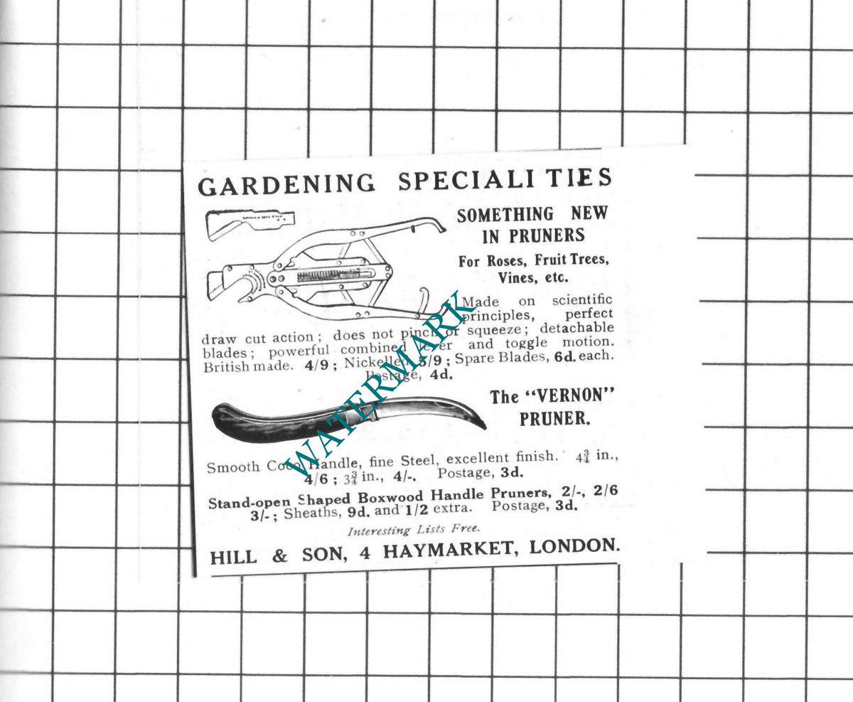 Hill & son Haymarket London  Gardening Small Advert - 1914 Clipping
