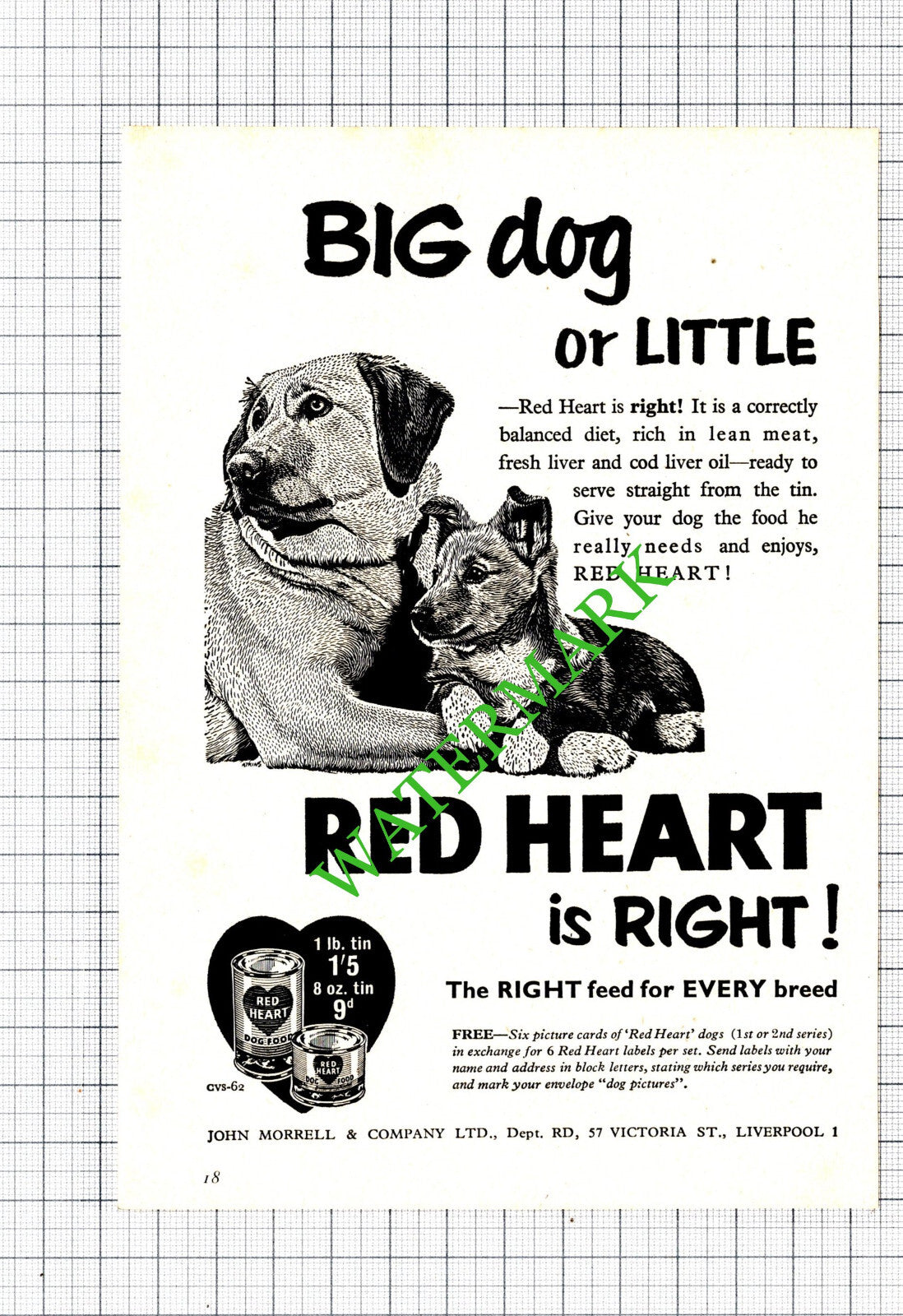 Red Heart Dog Food John Morrell Liverpool Small Advert  - 1956 Cutting