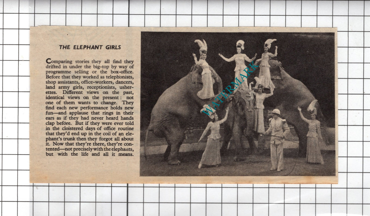 The Elephant Girls Circus Act - 1948 Clipping