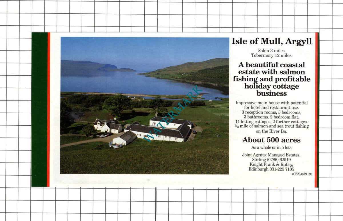 Isle Of Mull Argyll Salen  Sale Advert -   1991 Clipping
