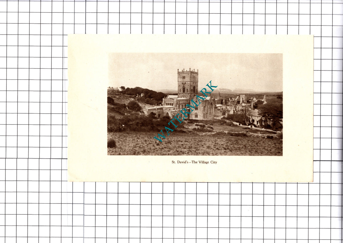St David's Wales  - 1930 Cutting / Print